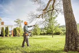 Best Tree Trimming and Pruning  in Bloomingdale, TN